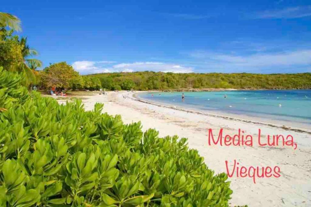 Ocean & Mountains View, Marina, Ferry, Vista Mar, Costa Esmeralda Ceiba Εξωτερικό φωτογραφία